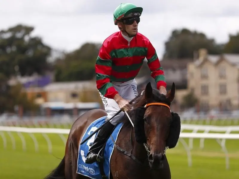 The Kris Lees-trained Karavali is among a good book of rides for jockey Jason Collett at Randwick. collett