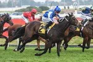 Rich Charm Moloney pushing Rich Charm Goodwood dream