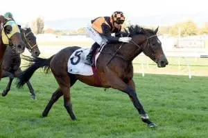 Ruby Aramani Stylish mare rewarded with Listed success