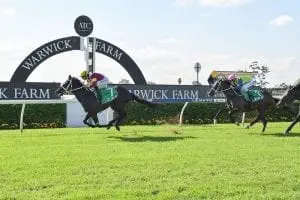 Sambro Maturing Sambro snares Hawkesbury Guineas