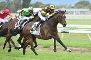 Sherrif Morphettville memories rekindled