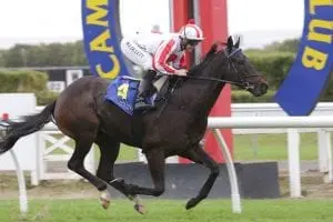 Star Performance Trainer already looking towards Star's next Performance