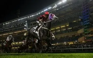 Super Chic Super night for Purton at Happy Valley