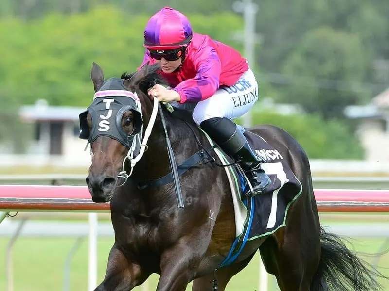 Emma Ljung will try to add to her record with trainer Tony Sears after The Lawyer to win at Ipswich. emma ljung
