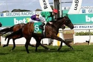 Weather With You NZ stayer Weather With You