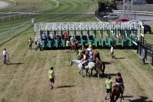 Barrier attendants Unsung hero averts Te Rapa disaster