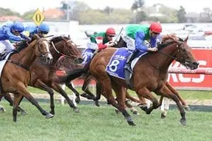 Bonneval Top mare Bonneval returning to work