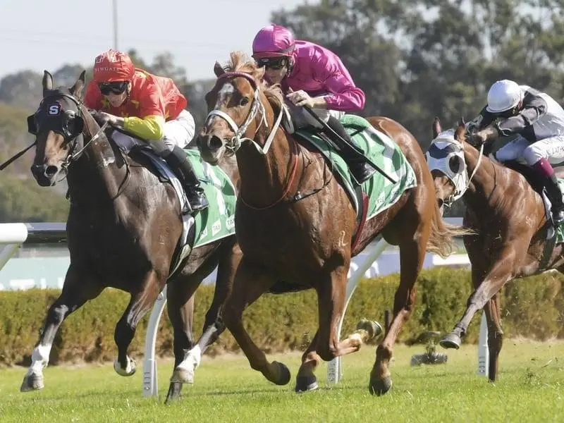 Beidi (centre) has made a winning start to his racing career with a Canterbury victory. Beidi (centre) wins at Canterbury.