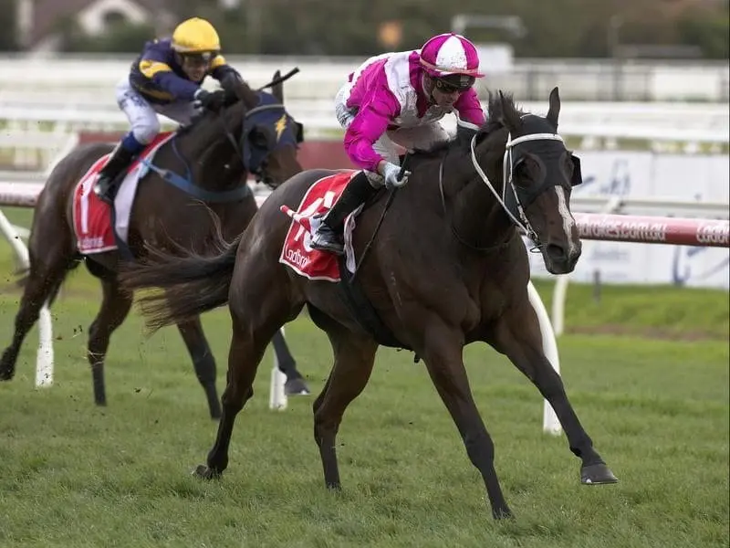 King River winning at Caulfield.