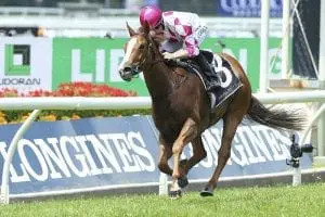 Champagne Cuddles Champagne Cuddles outright Tiara favourite