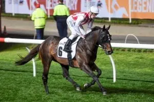 Derryn Straight improvement from Lindsay Park duo