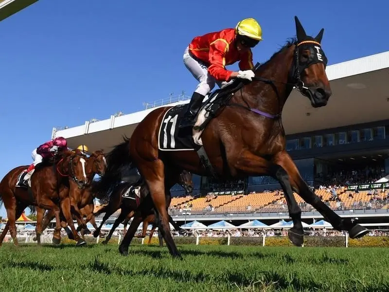 Winter Bride wins at Doomben