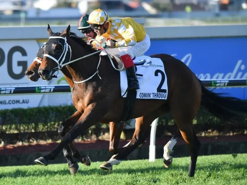 Comin' Through wins this Doomben Cup.