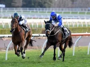 Red Excitement bids for another stakes win Red Excitement bids for another stakes win