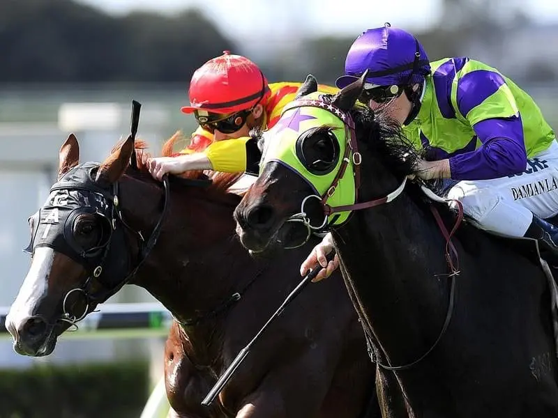 Heavenley Thought (r) wins the Group Three Grand Prix.