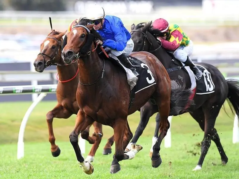 Duca Valentinois wins at Doomben.