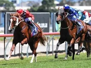 Qld Guineas preferred for Mishani Bullitt Qld Guineas preferred for Mishani Bullitt