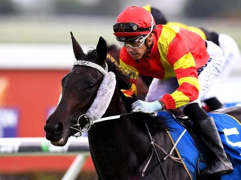 Plumaro will race in the BRC Sires' Produce Stakes.