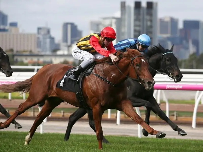 Vassilator wins at Flemington