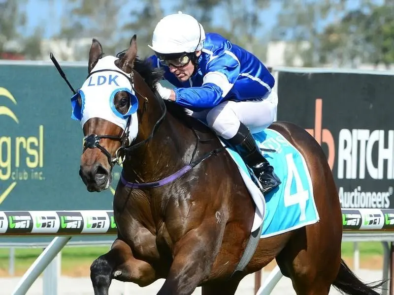 Captivator wins at the Gold Coast