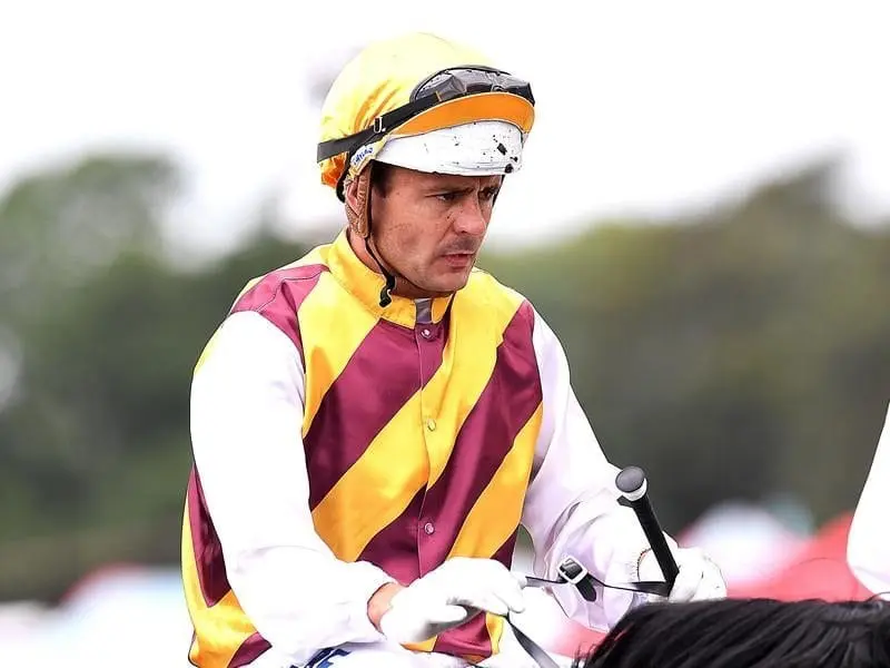 Brad Stewart will ride Man Of His Word in a weight-for-age test in the Hollindale Stakes. Brad Stewart.