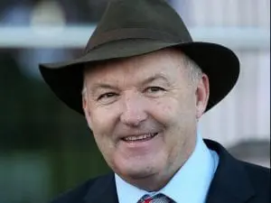 So Si Bon to race on as a gelding So Si Bon to race on as a gelding
