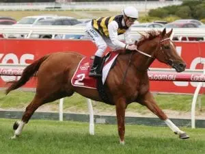 Gailo Chop suffers tendon injury Gailo Chop suffers tendon injury