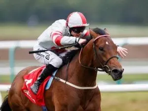 Knight To Behold in Derby Trial upset Knight To Behold in Derby Trial upset
