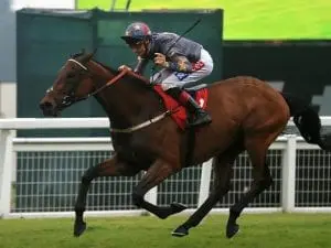 Magic Circle could add Gold Cup to program Magic Circle could add Gold Cup to program