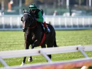 Super Cash chases better luck in Goodwood Super Cash chases better luck in Goodwood