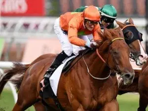 Terravista retired from racing Terravista retired from racing