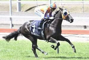 Handsome Rebel Handsome sale for Fortuna