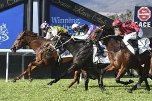 In Good Time Bartley's triple treat at Scone carnival