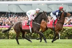 Max Dynamite Max Dynamite back to the flat at York
