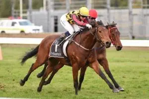 Our Bandit Trainer taking it a race at a time
