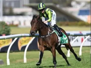 Avdulla puts mounts on course for Brisbane Avdulla puts mounts on course for Brisbane