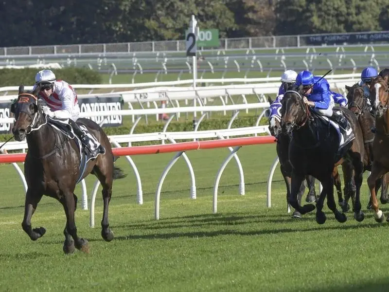 Bastia has made up for his stablemate Graff's Doomben scratching with an easy Randwick win. Bastia