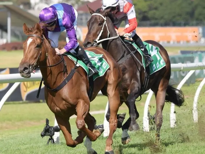 Three-year-old filly Lisdoonvarna will chase a stakes victory in Brisbane after winning at Rosehill. Lisdoonvarna wins at Rosehill.