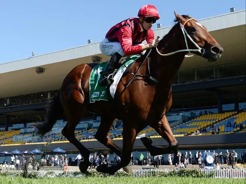 Gem Song ridden by Jason Collett