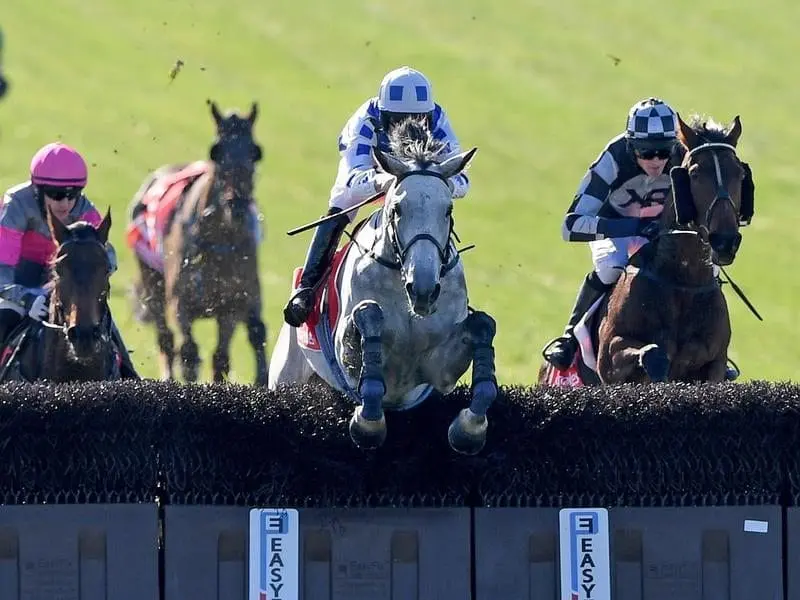 Don't Be Shy on his way to winning the Australian Steeplechase.