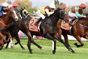 Sasanof’s Hero Track a concern for Collett