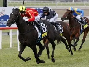 Pretty In Pink lands Scone Listed race win Pretty In Pink lands Scone Listed race win