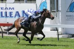 Sleeping Beauty Mare to get conditions to suit