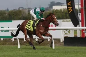 Southern Icon Southern Icon returns from fetlock injury