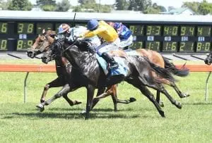 Terra Sancta Byrne a boost for Terra Sancta in Qld Oaks