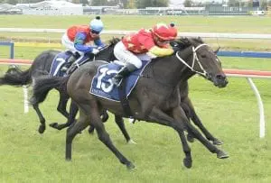 Van Irving Track has trainer guessing with Van Irving