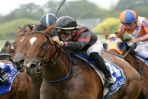 Volpe Veloce Top mare enjoys smooth Doomben preparation