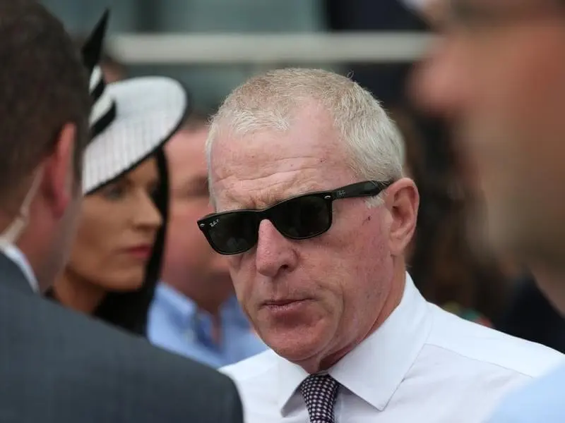 Trainer Mick Price believes the Wangoom at Warrnambool is the right race for Bassett. bassett