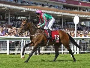 War Decree Group 2 winner War Decree retires to Inglewood