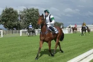 Wekaforce Smart 2YO doesn’t disappoint on debut